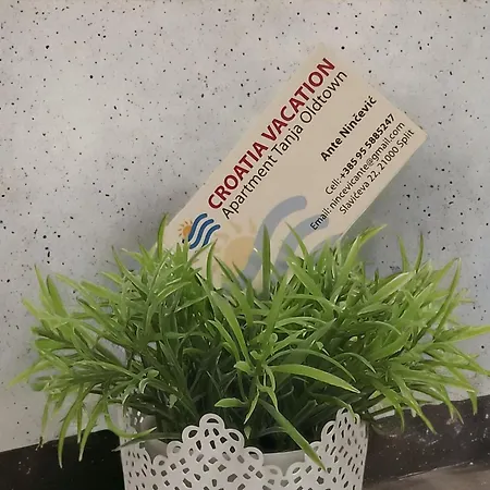 Apartment Petro Oldtown Daire